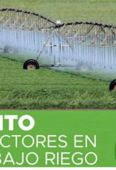 Lanzan una línea de créditos de hasta $500 millones para productores del área bajo riego