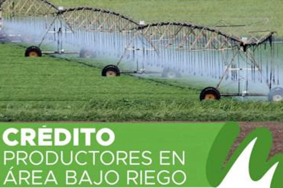 Lanzan una línea de créditos de hasta $500 millones para productores del área bajo riego