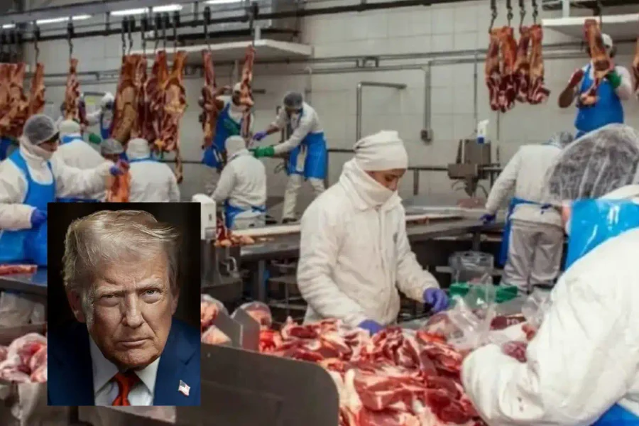 Estados Unidos excluyó a Argentina para importar carne vacuna