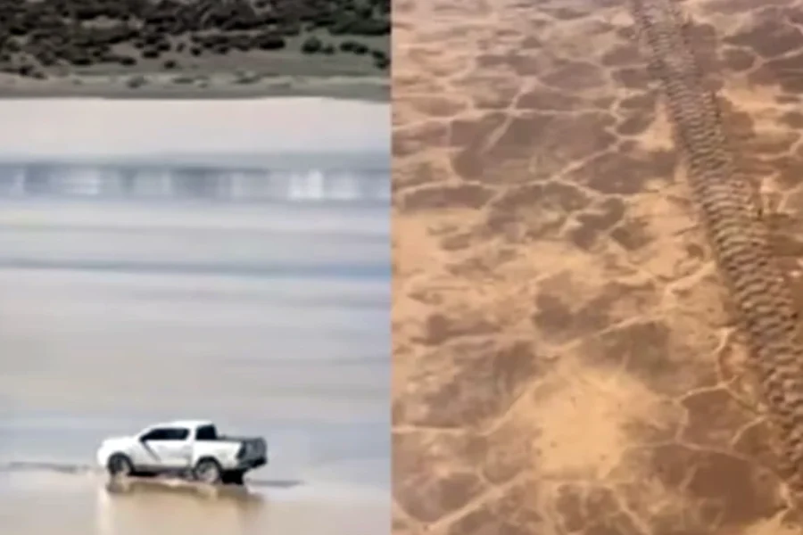 Una camioneta ingresó a la Pampa del Leoncito y provocó graves daños en un área natural protegida