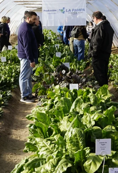 El CERET presentó su primera Jornada Hortícola Invernal