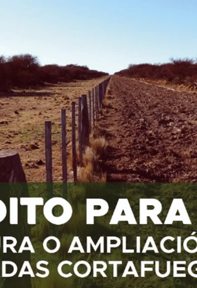Producción recordó los requisitos para solicitar la apertura y ampliación de picadas cortafuegos