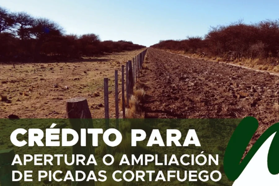 Producción recordó los requisitos para solicitar la apertura y ampliación de picadas cortafuegos