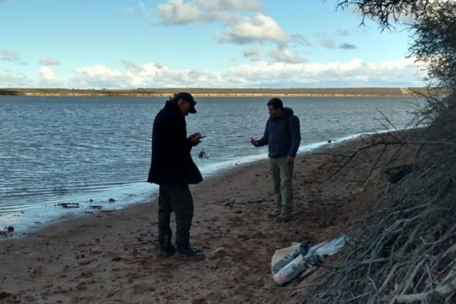 Laguna de Guatraché: recuperaron fósiles de hasta 7 millones de años