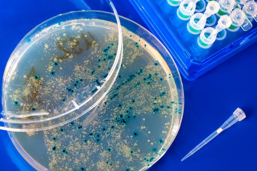 Virus diseñados con IA logran atacar bacterias resistentes